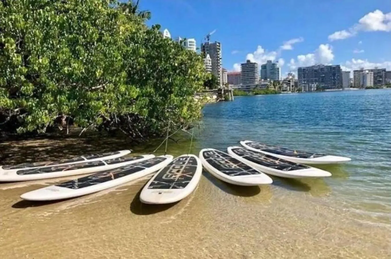 Pr Rentals Expectacular Location San Juan 0*,  Puerto Rico